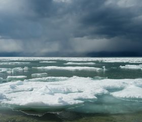 For sent at redde havisen I de arktiske somre