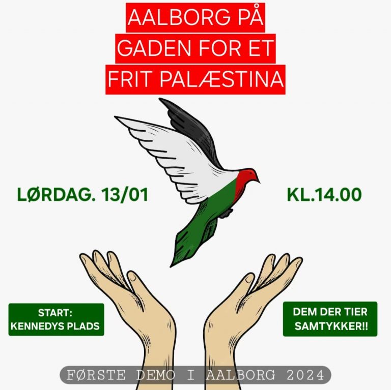 aalborg-aalborg-p-gaden-for-et-frit-pal-stina-arbejderen