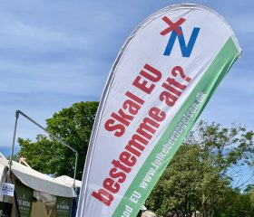 EU-modstandens fremtid organiseres på ny