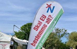 EU-modstandens fremtid organiseres på ny